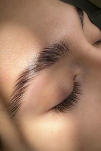 Brows perfect shape